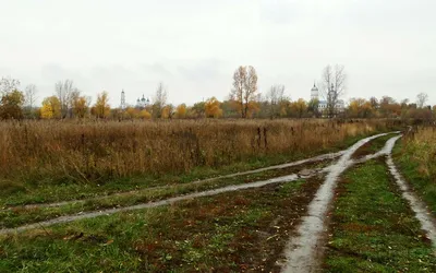 Онлайн пазл «Осенний дождь»