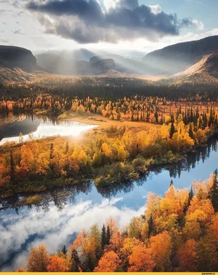 У ' Zâ *y ,r л / фоткал сам :: фото :: Осень :: эстетика ебеней / смешные  картинки и другие приколы: комиксы, гиф анимация, видео, лучший  интеллектуальный юмор.