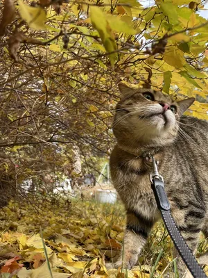 Юмор+жизнь - Следующая остановка - Осень 🍂🍁 | Facebook