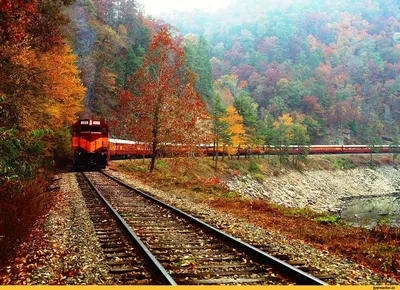 Это - осень, сынок.... Фотограф Вероника Бабенко