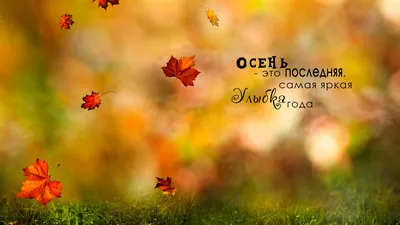 Когда в Центральную Россию придет золотая осень? - Новости Тулы и области -  MySlo.ru