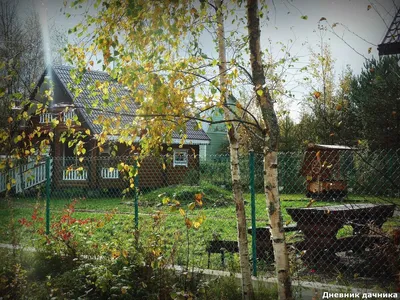 Дача в октябре: финальные работы в осеннем саду: читать на Golos.ua