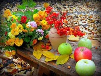 Осень - это время, когда природа …» — создано в Шедевруме