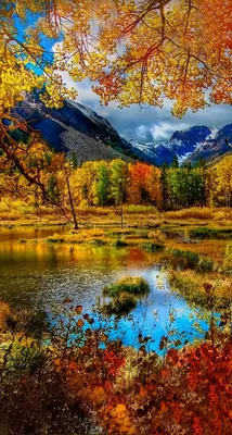 Яркая осень в горах: самые красивые фото горных районов России
