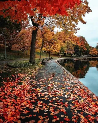Осень самые красивые картинки фотографии