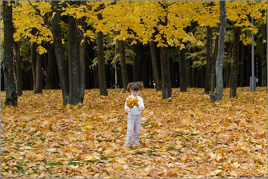 В парк пришла осень. Осенний листопад. Листопад в парке. Листопад осенью. Осенний листопад в парке.