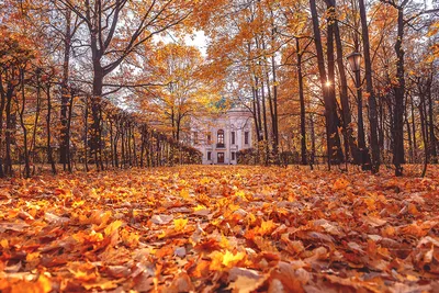Осень в Турции: самые красивые места страны для осенних | Perito