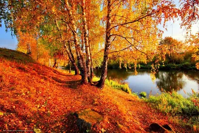 Осень самые красивые рисунки - 77 фото
