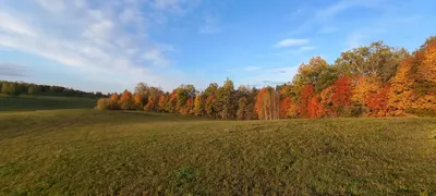 Осень картинки красивые на телефон - 69 фото