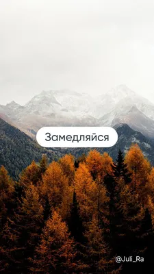 Заставка на телефон: осень, Осенняя окраска листьев, природа, растение,  ботаники