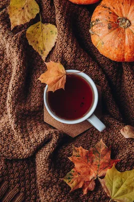 Осенние фото обои на телефон кофе уют | Instagram photo, Instagram, Photo  and video