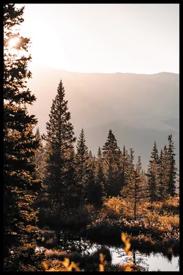 Картина маслом Осень в лесу