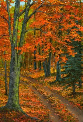 Картинка В лесу осень » Лес картинки скачать бесплатно (224 фото) -  Картинки 24 » Картинки 24 - скачать картинки бесплатно