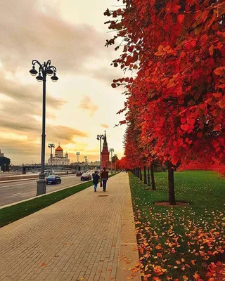 ✗นтթыйЁж Виктор on X: \"Осень осень... Москва, МГУ https://t.co/kFkFyb6CFW\"  / X