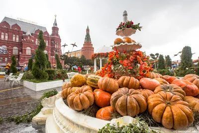 КРАСИВЫЕ КАДРЫ on Instagram: \"Добрый вечер, друзья! 🍁🍂🍁 Золотая осень в  Москве. 🍁🍂🍁 Больше красивых фото по ссылке в профиле. Благодарим  @andrey_rat… | Картины пейзажа, Пейзажи, Осень