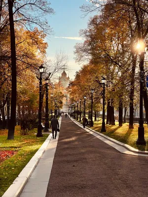Отдых в Москве осенью 2024: лучшие отели в городе с ценами и отзывами