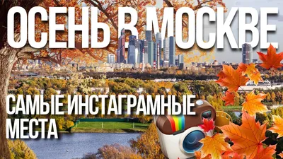 Синоптики объявили о наступлении золотой осени в Москве :: Новости :: ТВ  Центр