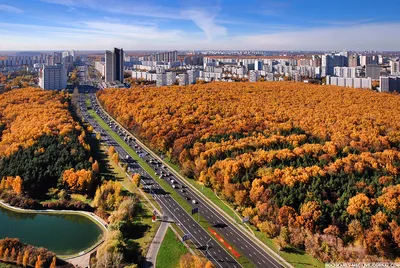 Золотая осень в Москве стоковое изображение. изображение насчитывающей  ландшафт - 34469869
