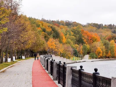 Осень в Москве: куда сходить и что посмотреть, места для осенних прогулок —  Кавёр