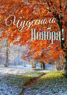 Поздняя осень, ноябрь, озеро под …» — создано в Шедевруме