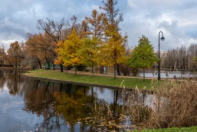 🍂Время почувствовать себя ребенком и поваляться в листьях. Только  посмотрите на эту красоту!! #осень #ноябрь #красивыйноябрь… | Instagram