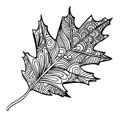 Раскраски листья, Раскраска раскраска осенние листья растения.