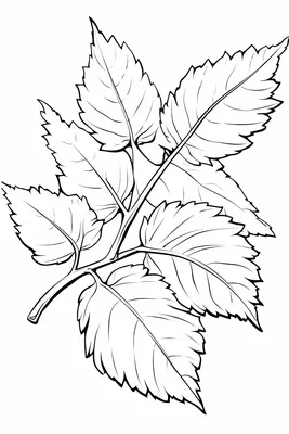 Листья Осенние Осень - Бесплатная векторная графика на Pixabay - Pixabay