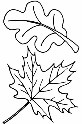 Осенние листья в трех формах черно-белые векторные иллюстрации | Премиум  векторы