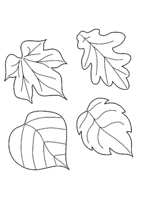 Чернобелые Осенние Падающие Листья И Ягоды — стоковая векторная графика и  другие изображения на тему Кленовый лист - Кленовый лист, Осень, Лист -  iStock