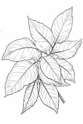 рисунок Осенние листья и ягоды в стиле гравюры линейный набросок PNG ,  рисунок листьев, рисунок уха, Черновой проект PNG картинки и пнг PSD  рисунок для бесплатной загрузки