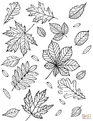 Иллюстрация Осенние листья - память о лете.Стилизация. в стиле