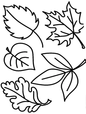 Раскраска осенние листья для детей 4, 5, 6, 7, 8, 9, 10 лет