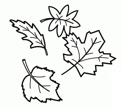 Сухие листья и осенние листья иконка набор, силуэт стиле Векторное  изображение ©vec.stock 409680536