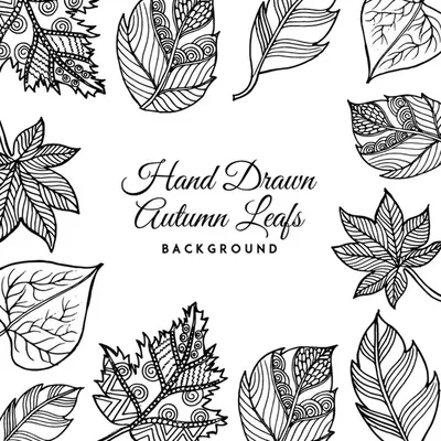 Черно-белая ручная роспись осенних листьев | Бесплатно векторы