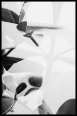 Черно белый рисунок осенний лист - 71 фото