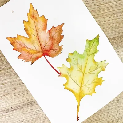 Осенние листья падают PNG , осень, лист, Листья PNG картинки и пнг PSD  рисунок для бесплатной загрузки