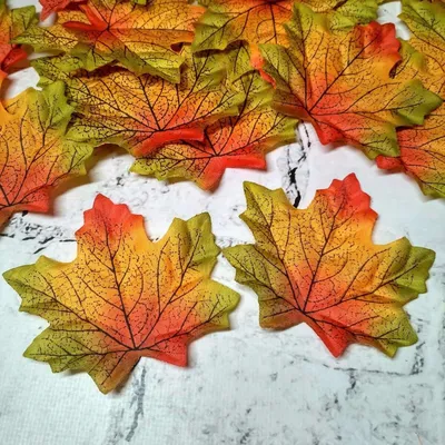 Осенние листья в руках (48 фото) - 48 фото