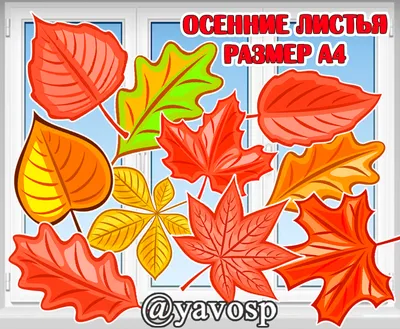 Осенние листья (49 фото)