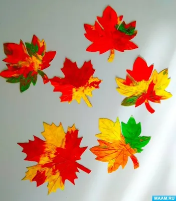 Красивые осенние листья на белом фоне :: Стоковая фотография :: Pixel-Shot  Studio