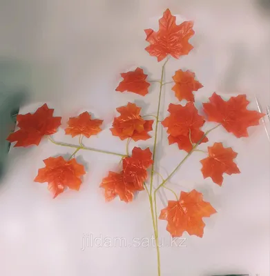 Осенние Листья — стоковая векторная графика и другие изображения на тему  Цвет осенних листьев - Цвет осенних листьев, Лист, Векторная графика -  iStock