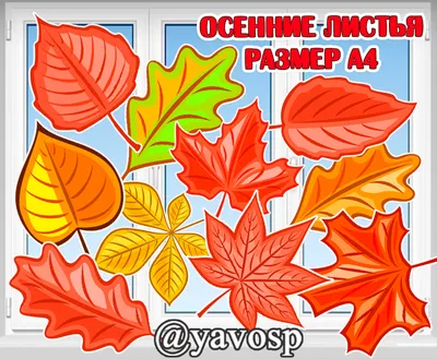 Осенние листья обои 1080p, осень, время года, листья фон картинки и Фото  для бесплатной загрузки