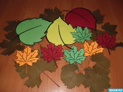 Красивые осенние листья (64 фото) - 64 фото