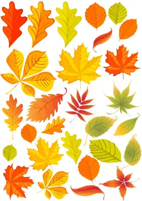 Осенние листочки гармошкой - 69 фото