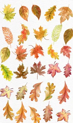 Осенние листья декоративные из ткани, 9х9,5 см, цветные, 50 шт  (ID#1020023163), цена: 75 ₴, купить на Prom.ua
