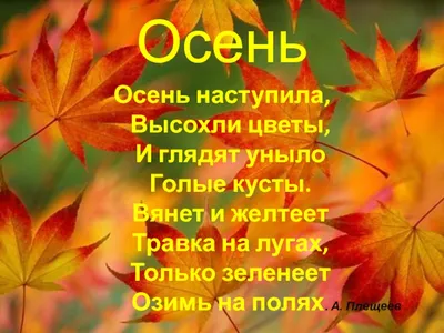 Загадки для детей про осень и осенние месяцы | Сказки Лисички | Дзен