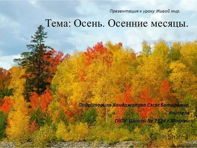 Мастер-класс «Осенний пейзаж» для детей 6–7 лет (14 фото). Воспитателям  детских садов, школьным учителям и педагогам - Маам.ру