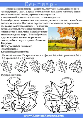 РАЗВИТИЕ РЕБЕНКА: Осенние месяцы - Сентябрь