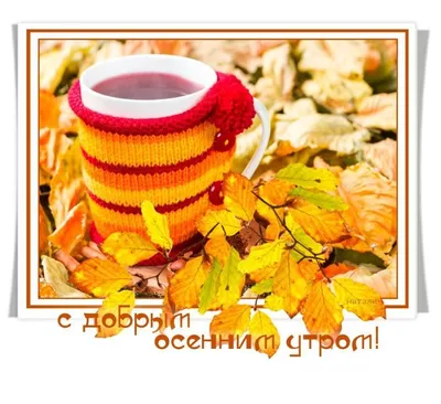 🍁 ⛅ ☕ Картинки С добрым осенним утром - скачать (240 шт.)