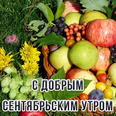 🍁 ⛅ ☕ Картинки С добрым осенним утром - скачать (240 шт.)