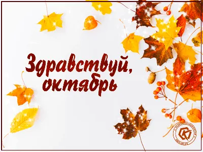 Осенние свежие поздравления во Всемирный день лицеиста 19 октября в  картинках и стихах